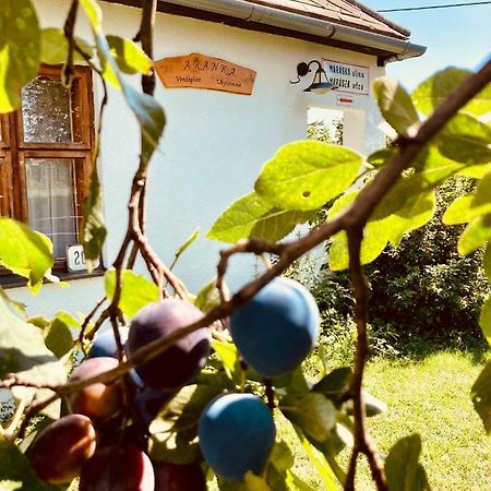 Ubytovanie U Aranky Cierna nad Tisou 外观 照片