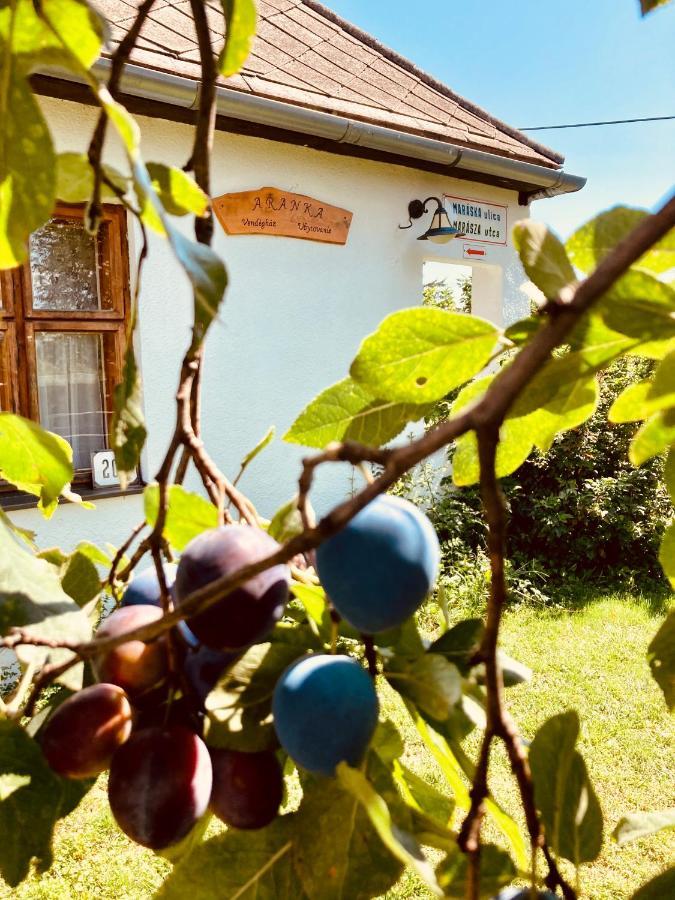 Ubytovanie U Aranky Cierna nad Tisou 外观 照片